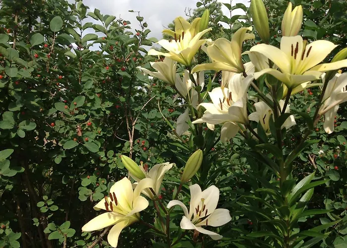 La Grange Terrou Country house *